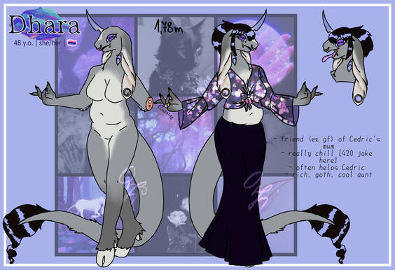 Dhara ref sheet